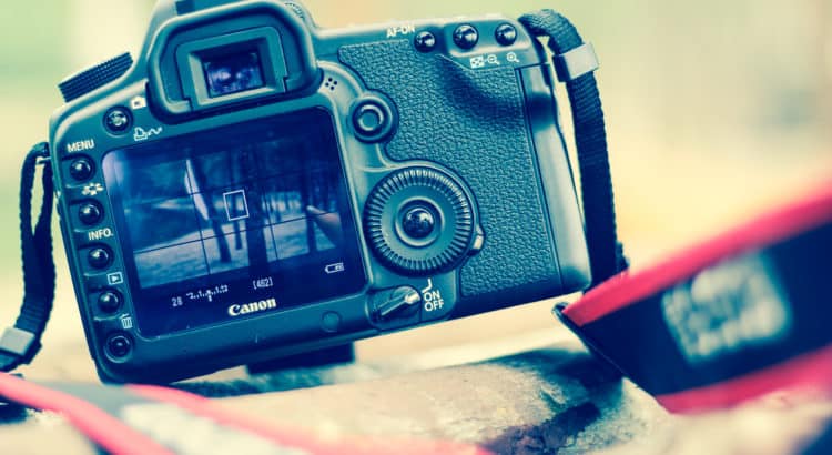 Camera with flip out screen